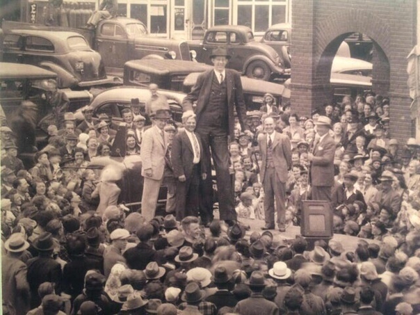 Роберт Уодлоу самый высокий человек в истории. 1939г.