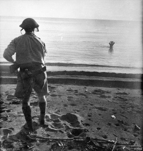 Австралийский военнослужащий наблюдает, как японский солдат собирается совершить самоубийство подорвав гранату возле своей головы