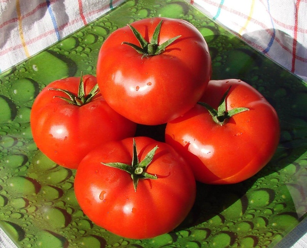 РАЗНОЦВЕТНЫЕ ТОМАТЫ Многим людям нравится выращивать томаты разного цвета. В последнее время возрос спрос на томаты желтого и оранжевого цвета,они подходят для людей страдающих аллергией на