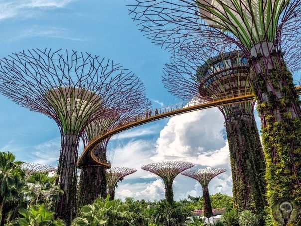 Бесплатные развлечения Сингапура 1. Шоу «Садовая Рапсодия» Центральные фигуры шоу деревообразные конструкции, которые в течение 10 минут с помощью музыкальных колонок воспроизводят звуки,