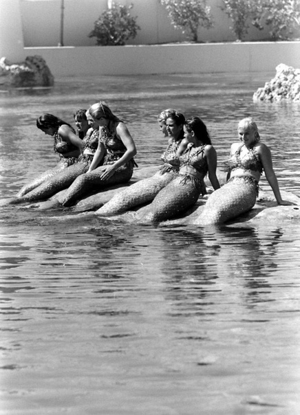 Disneyland Submarine Ride Mermaids Оказывается, русалки действительно существовали. По крайней мере в Калифорнийском Диснейлэнде, в котором 14 июня 1959 года открылся аттракцион Submarine