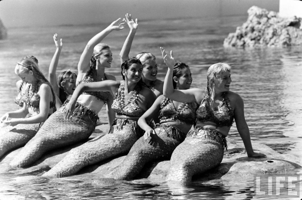 Disneyland Submarine Ride Mermaids Оказывается, русалки действительно существовали. По крайней мере в Калифорнийском Диснейлэнде, в котором 14 июня 1959 года открылся аттракцион Submarine