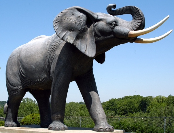 Самые известные в мире слоны и их трагические судьбы Слоны и без того заметные животные, но есть среди них особенно известные, которые прославились на весь мир. Увы, как и у людей, у животных