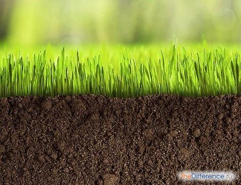 Разница между землей и почвой