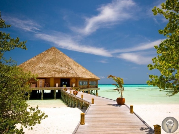 Чем заняться на Мальдивских островах 1. Полетать на гидросамолете Мальдивские острова настолько крошечные, что каждый отель здесь занимает отдельный остров. До ближайших к международному