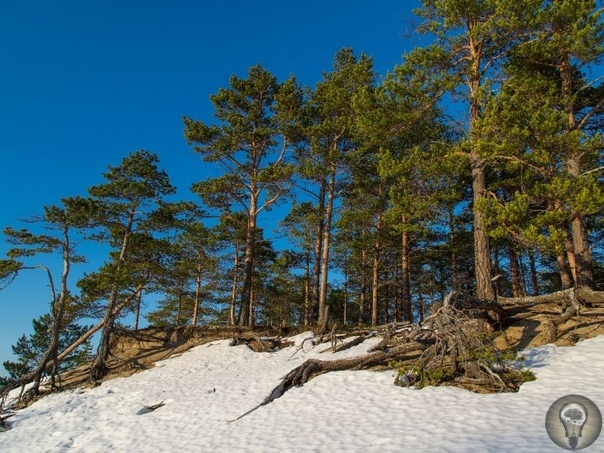 Лучшие национальные парки России 1. Алания Место заказника уникально: он расположен на горах и находится в окружении гор. Поэтому климат здесь не только умеренно континентальный: его